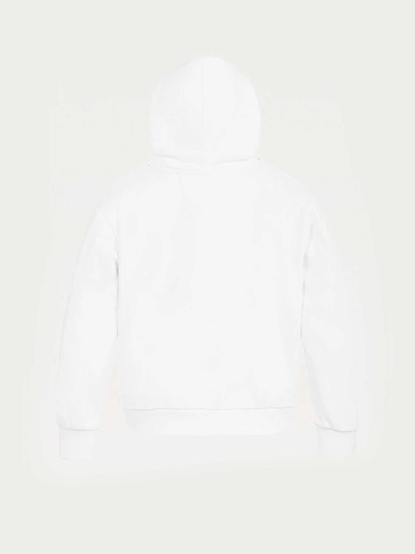 Худи и свитшоты Tommy Hilfiger SIGNATURE модель KG0KG05891-YBR Фото