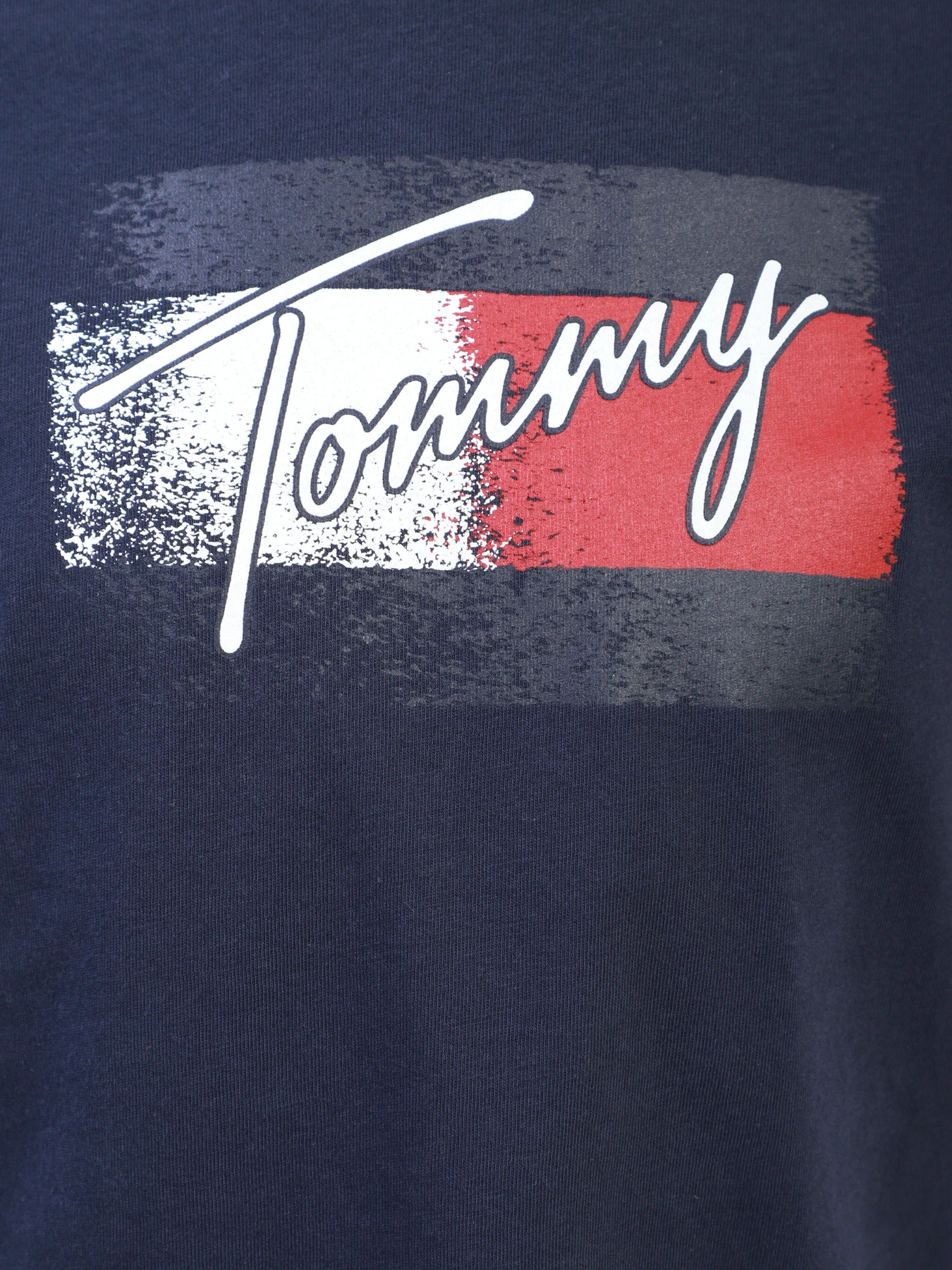 Футболки и поло Tommy Hilfiger модель KG0KG05909-C87 Футболки и поло Tommy Hilfiger модель KG0KG05909-C87 Фото