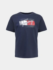 Футболки и поло Tommy Hilfiger модель KG0KG05909-C87 Фото