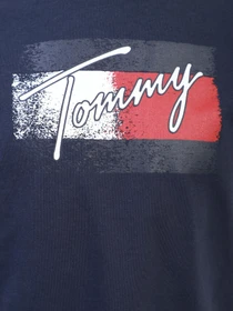 Футболки и поло Tommy Hilfiger модель KG0KG05909-C87 Фото