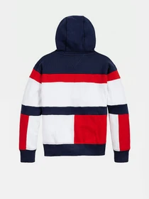 Худи и свитшоты Tommy Hilfiger модель KS0KS00185-C87 Фото