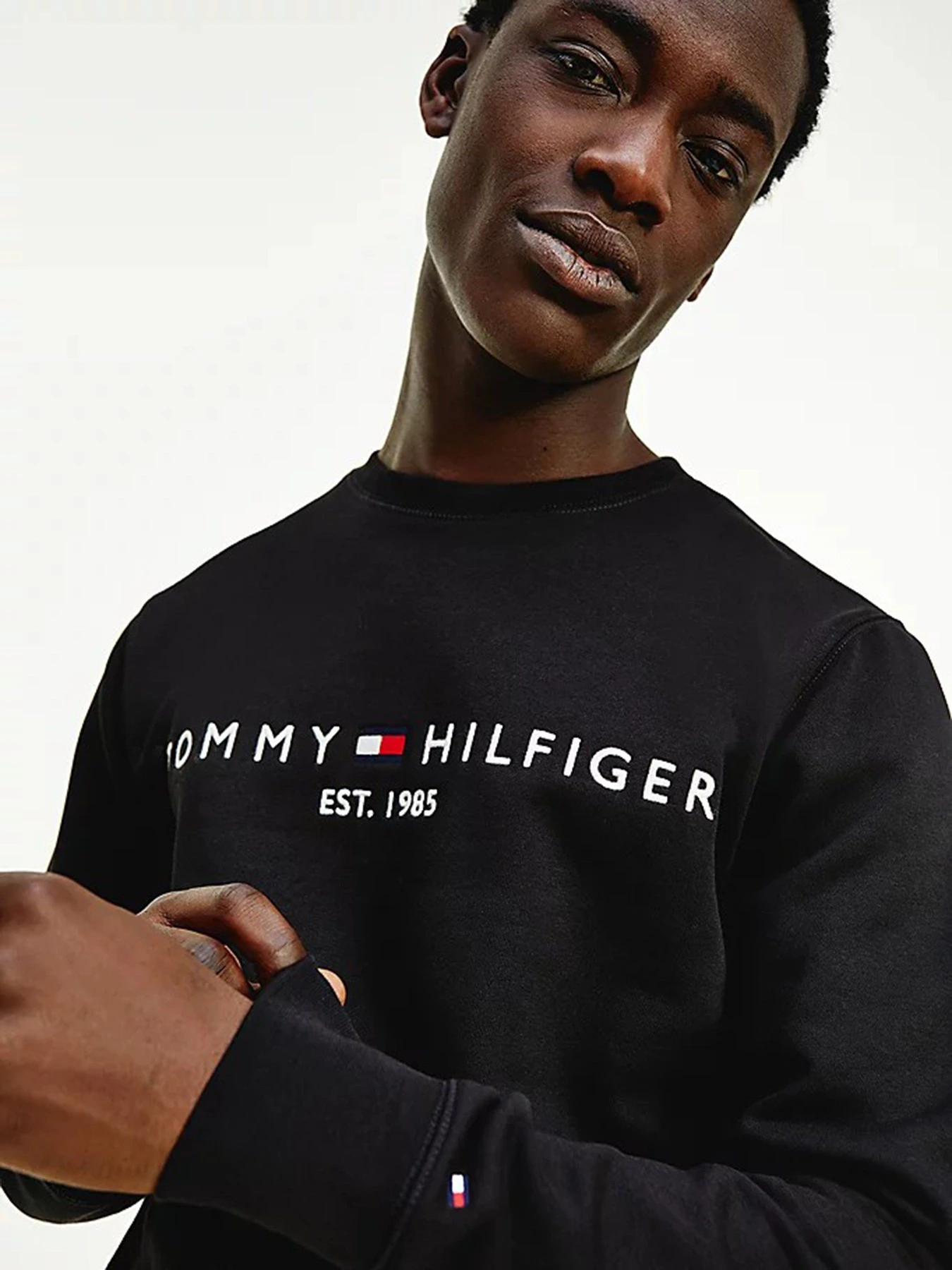 Худі та світшоти Tommy Hilfiger модель MW0MW11596-BDS Худі та світшоти Tommy Hilfiger модель MW0MW11596-BDS Фото