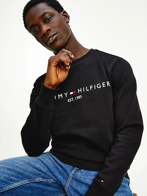 Худі та світшоти Tommy Hilfiger модель MW0MW11596-BDS Фото