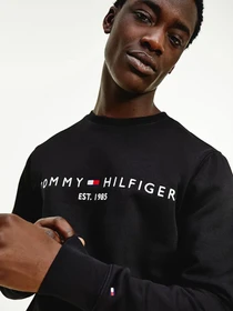 Худі та світшоти Tommy Hilfiger модель MW0MW11596-BDS Фото