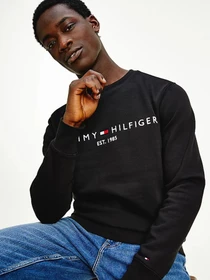Худі та світшоти Tommy Hilfiger модель MW0MW11596-BDS Фото