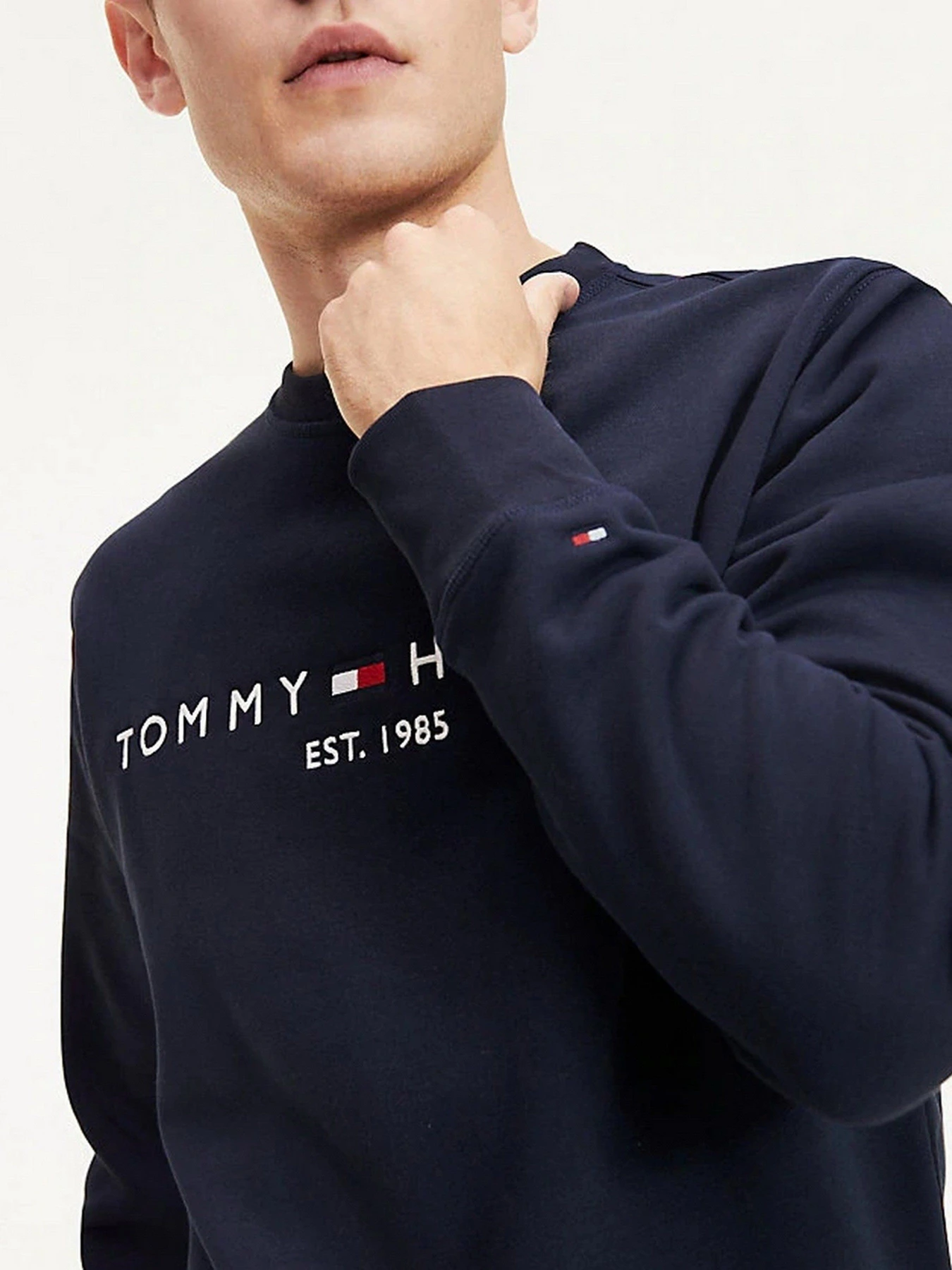 Худи и свитшоты Tommy Hilfiger модель MW0MW11596-L6N Худи и свитшоты Tommy Hilfiger модель MW0MW11596-L6N Фото