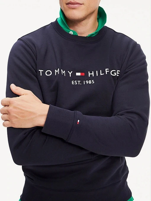 Худі та світшоти Tommy Hilfiger модель MW0MW11596-L6N Фото