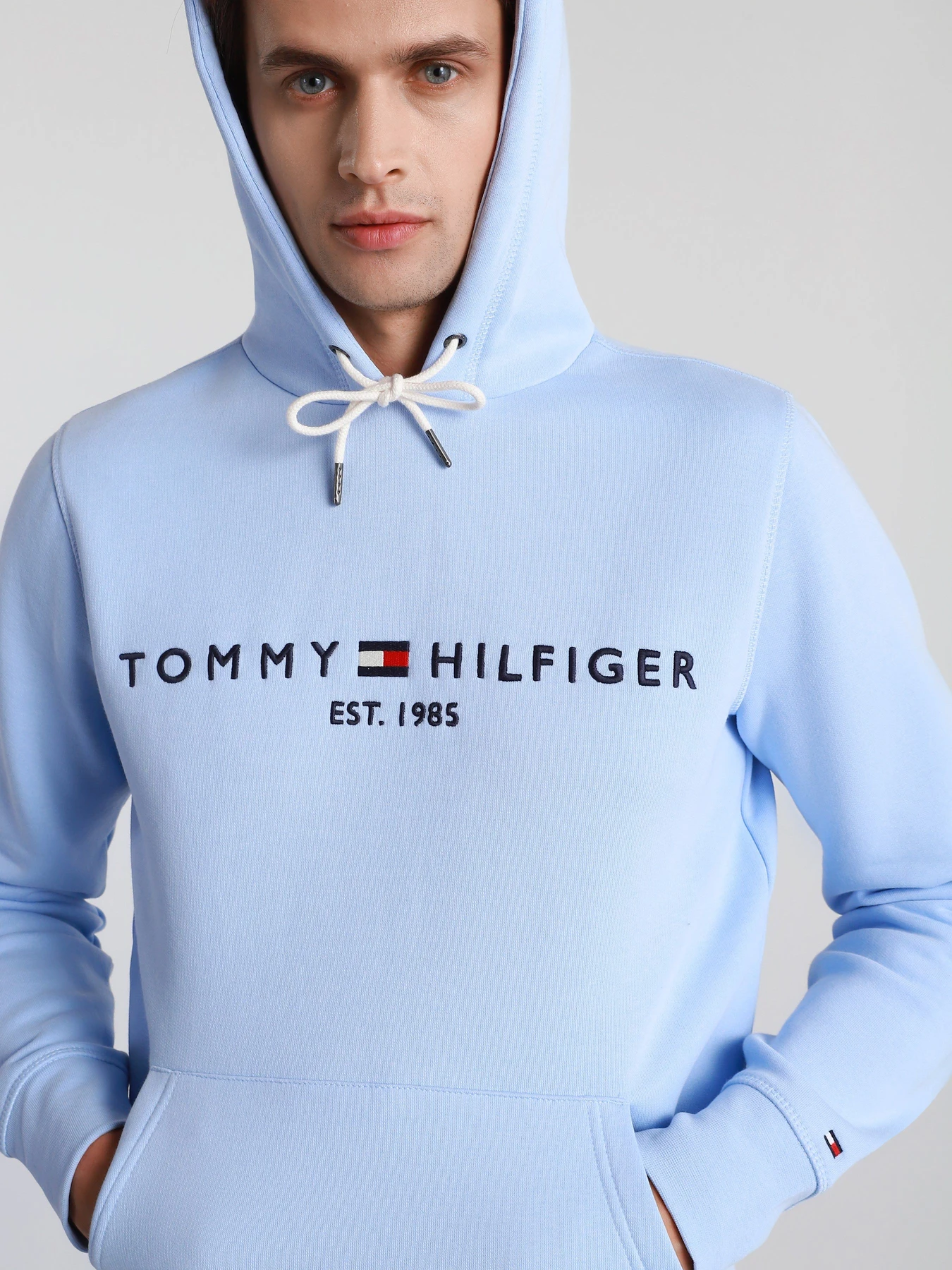 Худі та світшоти Tommy Hilfiger модель MW0MW11599-C3Q Худі та світшоти Tommy Hilfiger модель MW0MW11599-C3Q Фото