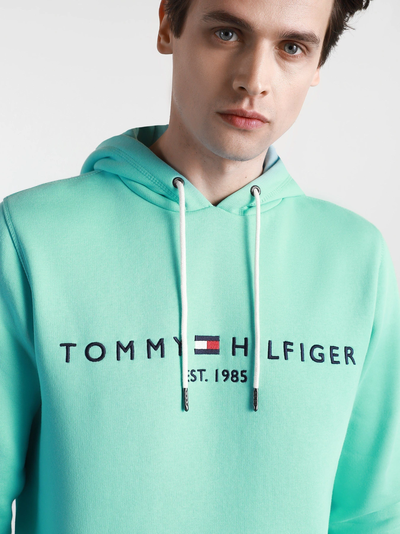 Худі та світшоти Tommy Hilfiger модель MW0MW11599-L62 Худі та світшоти Tommy Hilfiger модель MW0MW11599-L62 Фото