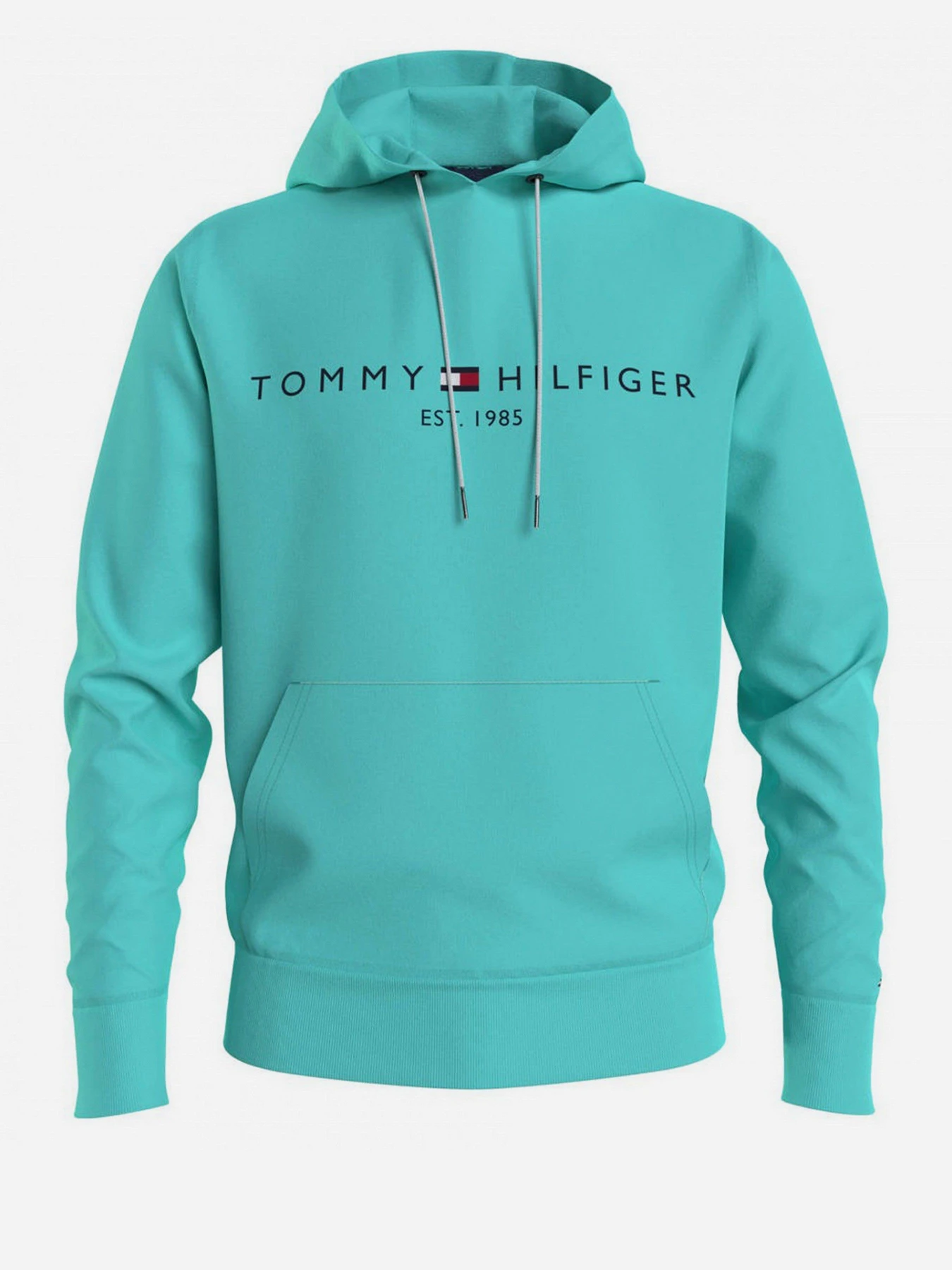 Худі та світшоти Tommy Hilfiger модель MW0MW11599-L62 Худі та світшоти Tommy Hilfiger модель MW0MW11599-L62 Фото