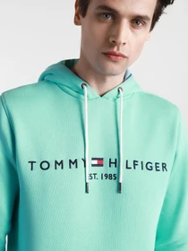 Худі та світшоти Tommy Hilfiger модель MW0MW11599-L62 Фото
