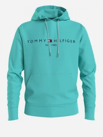 Худі та світшоти Tommy Hilfiger модель MW0MW11599-L62 Фото