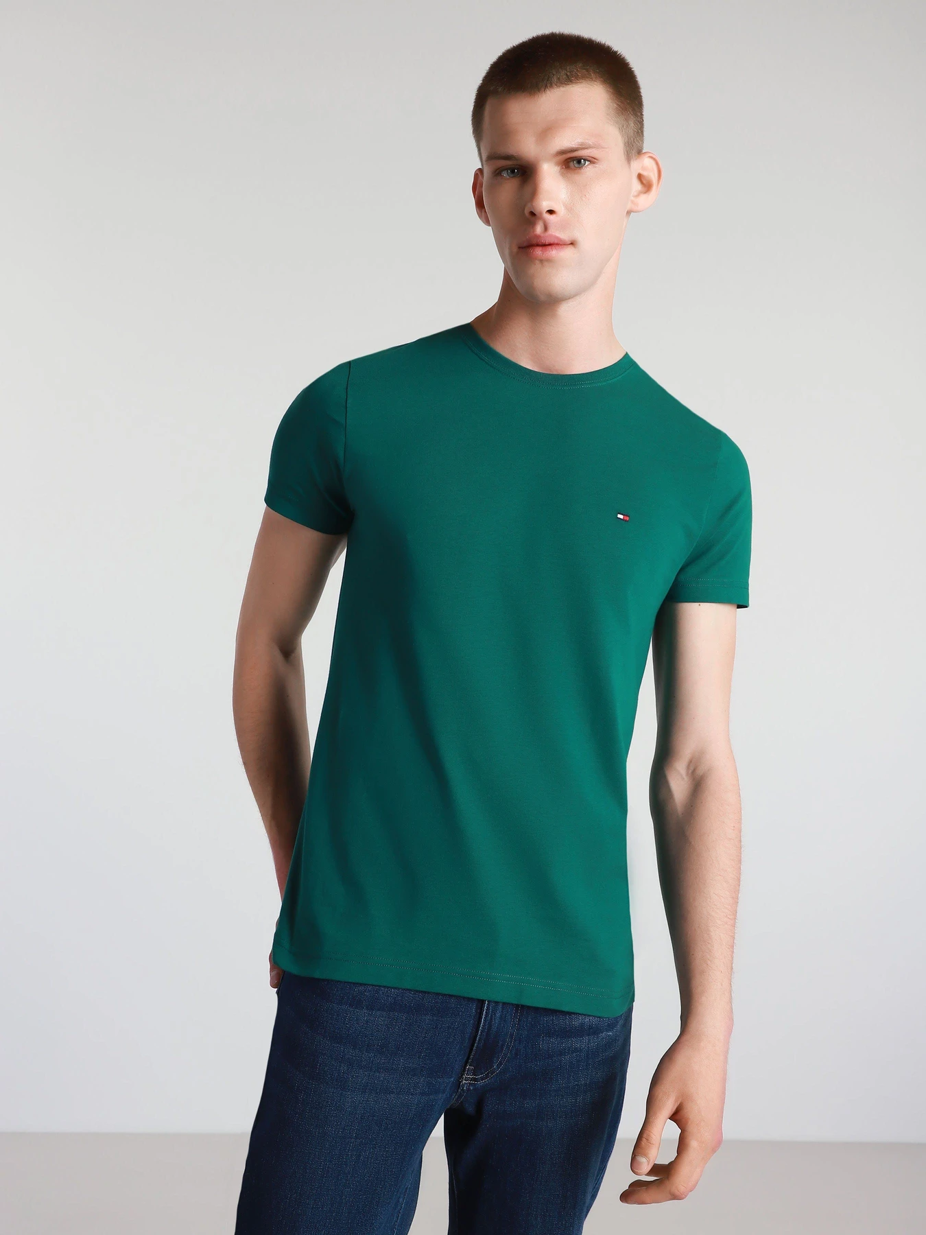 Футболки і поло Tommy Hilfiger модель MW0MW13344-L6N Фото