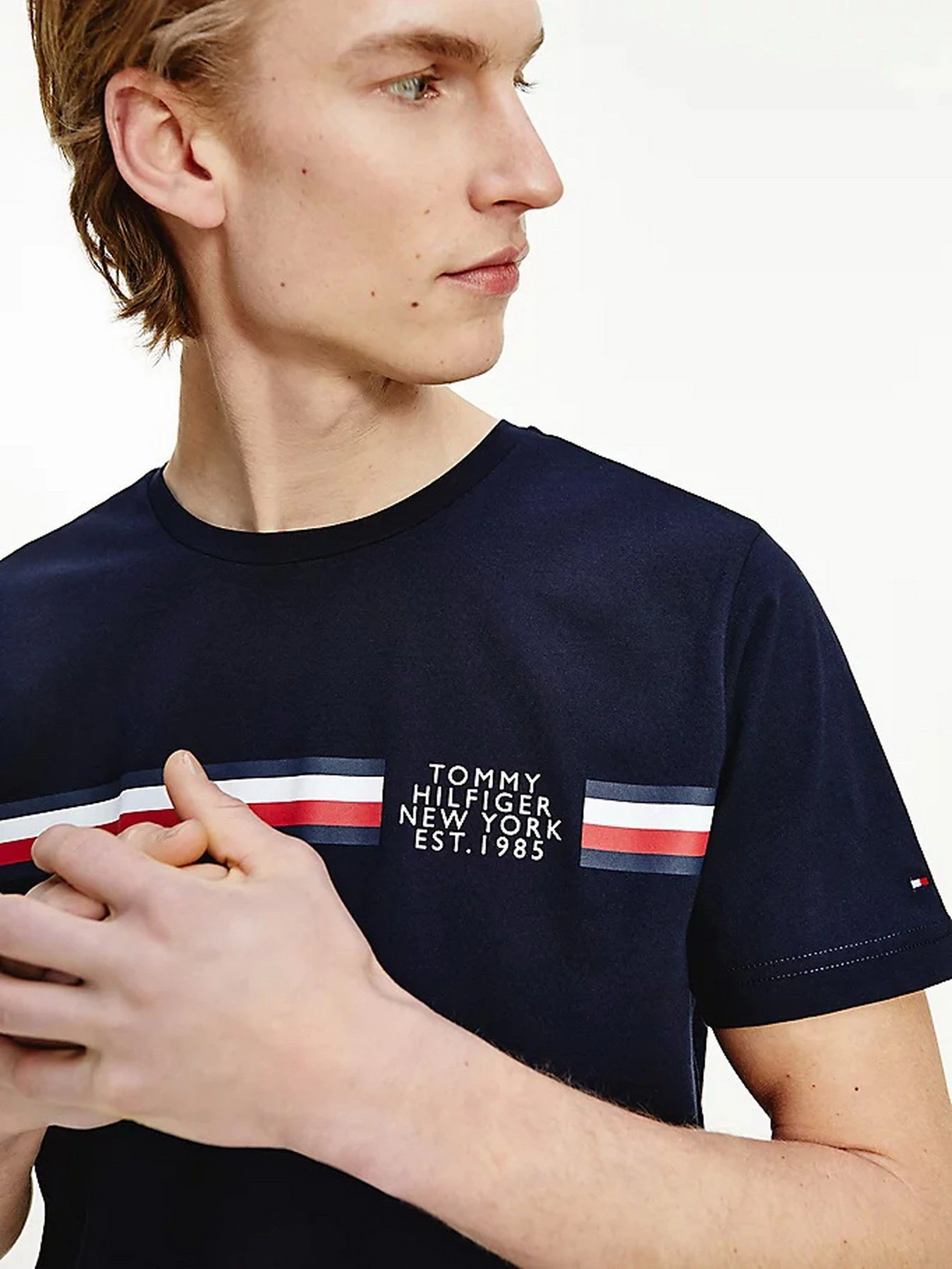 Футболки и поло Tommy Hilfiger модель MW0MW16592-DW5 Футболки и поло Tommy Hilfiger модель MW0MW16592-DW5 Фото