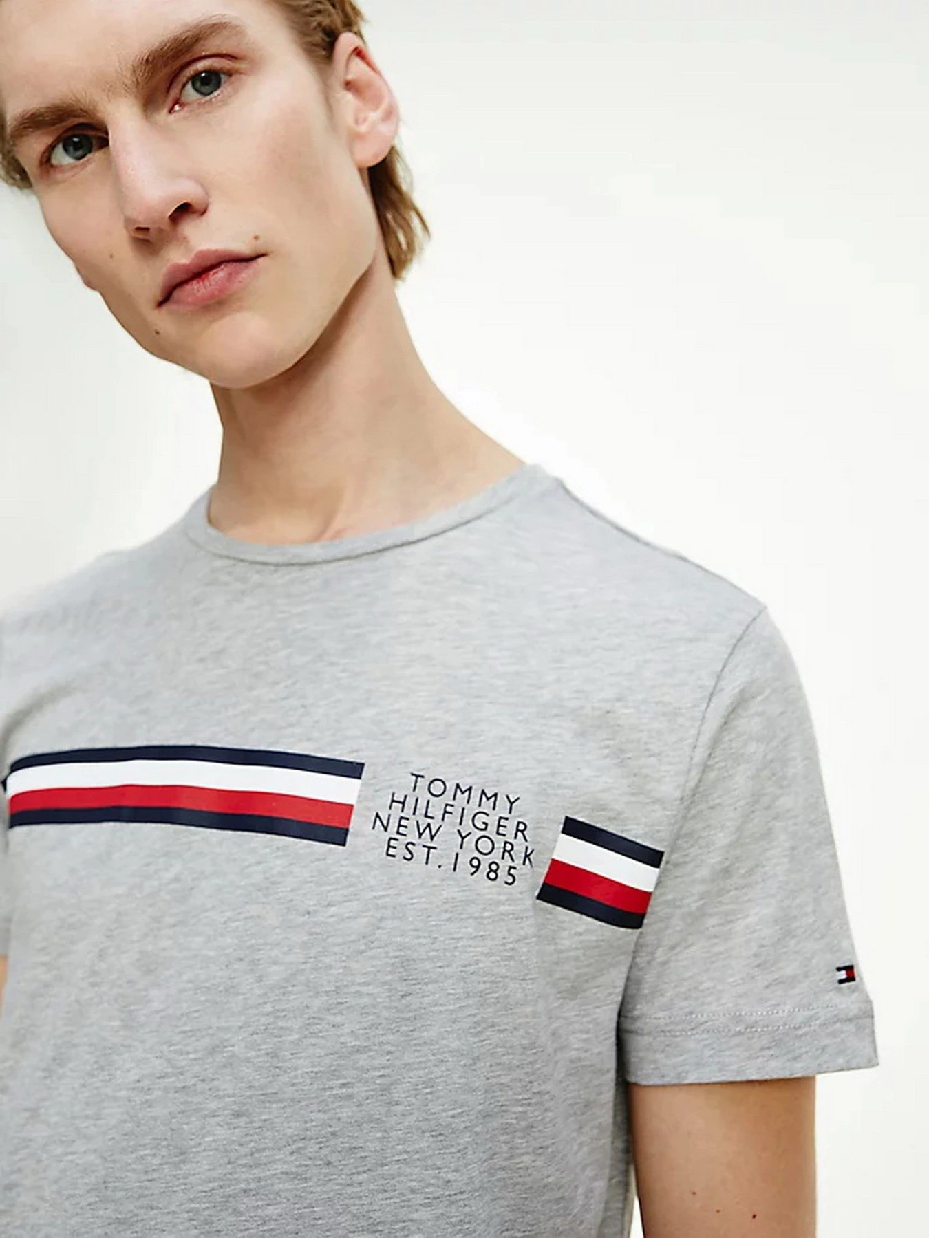Футболки и поло Tommy Hilfiger модель MW0MW16592-P91 Футболки и поло Tommy Hilfiger модель MW0MW16592-P91 Фото