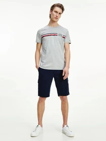 Футболки и поло Tommy Hilfiger модель MW0MW16592-P91 Фото
