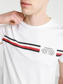Футболки і поло Tommy Hilfiger модель MW0MW16592-YBR Фото