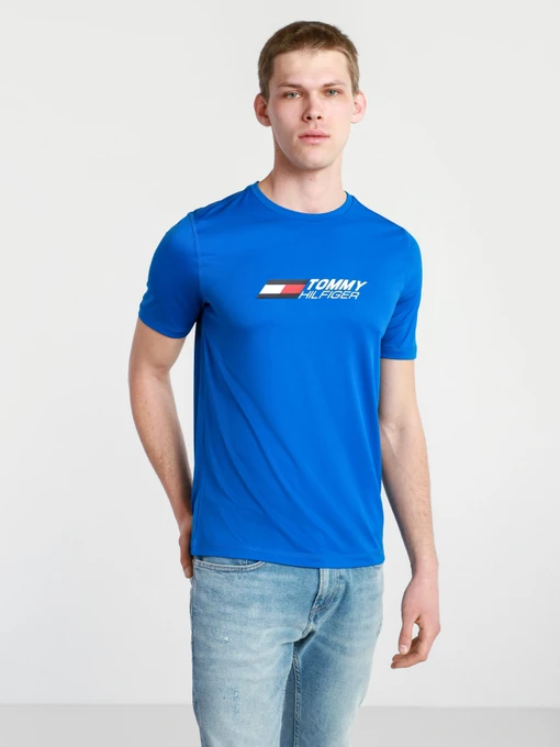 Футболки и поло Tommy Hilfiger модель MW0MW17231-D02 Фото