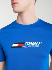 Футболки и поло Tommy Hilfiger модель MW0MW17231-D02 Фото