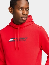 Худі та світшоти Tommy Hilfiger Cool модель MW0MW17255-XLG Фото