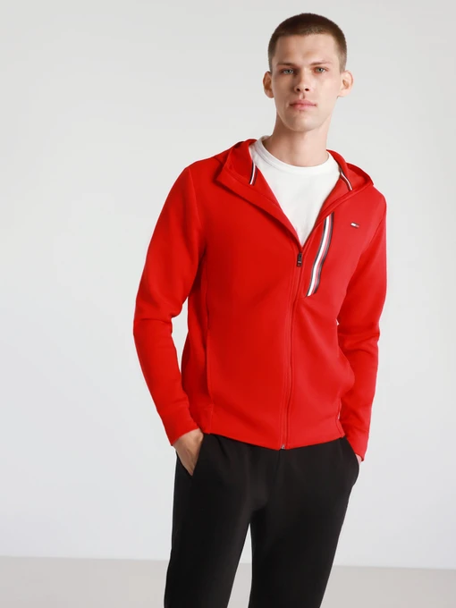 Худі та світшоти Tommy Hilfiger модель MW0MW17272-XLG Фото