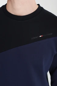 Худи и свитшоты Tommy Hilfiger модель MW0MW17278-DY4 Фото