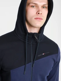 Худі та світшоти Tommy Hilfiger модель MW0MW17279-DY4 Фото