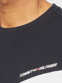 Футболки і поло Tommy Hilfiger модель MW0MW17281-YBR Фото