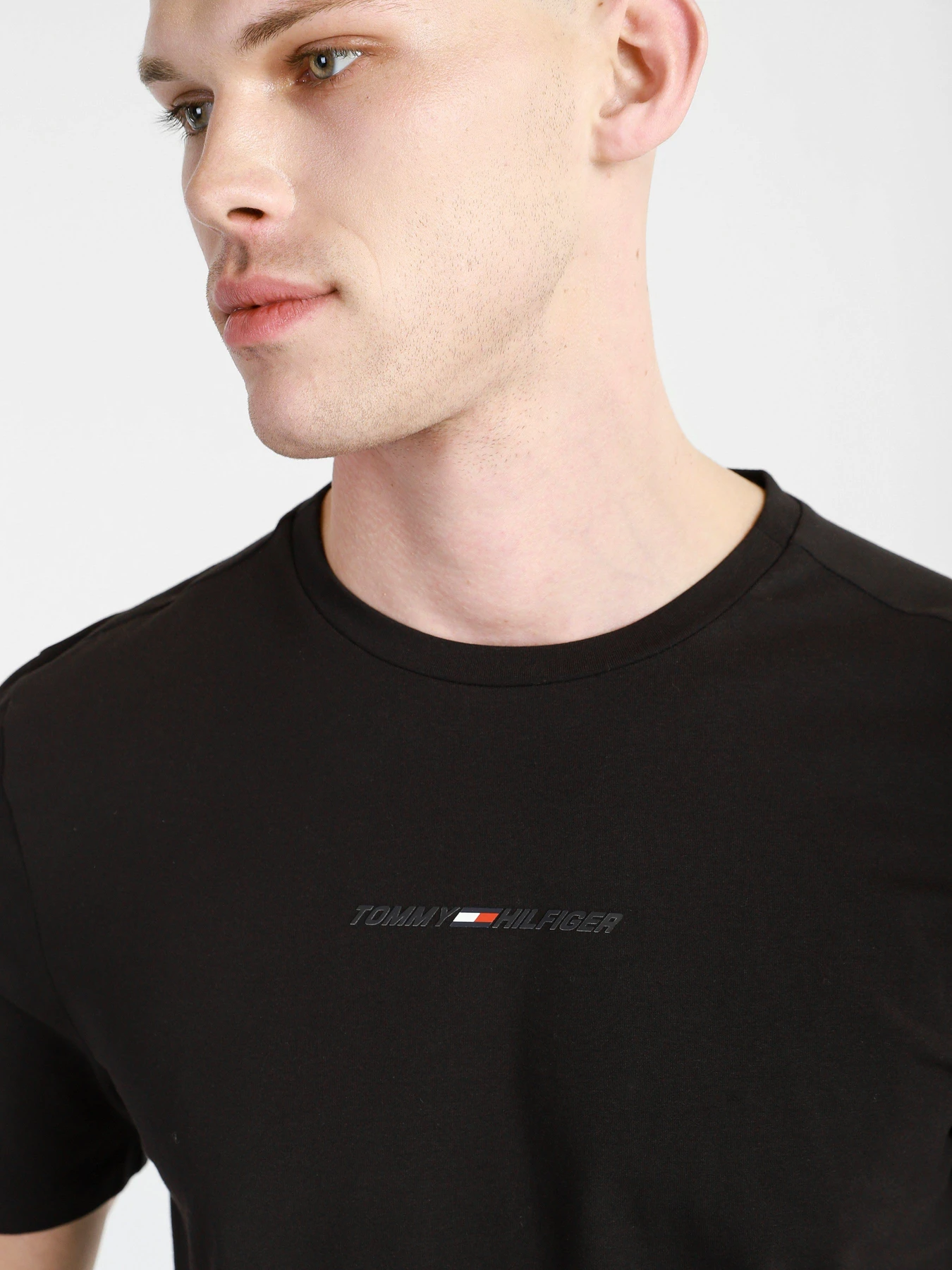 Футболки и поло Tommy Hilfiger модель MW0MW17373-BDS Футболки и поло Tommy Hilfiger модель MW0MW17373-BDS Фото