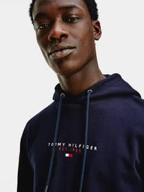 Худі та світшоти Tommy Hilfiger ESSENTIAL модель MW0MW17382-DW5 Фото