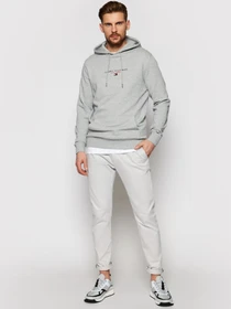 Худі та світшоти Tommy Hilfiger ESSENTIAL модель MW0MW17382-P91 Фото