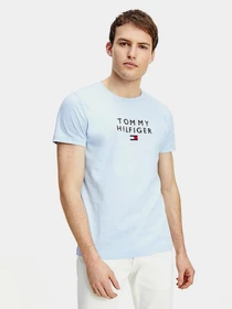 Футболки и поло Tommy Hilfiger модель MW0MW17663-C3Q Фото