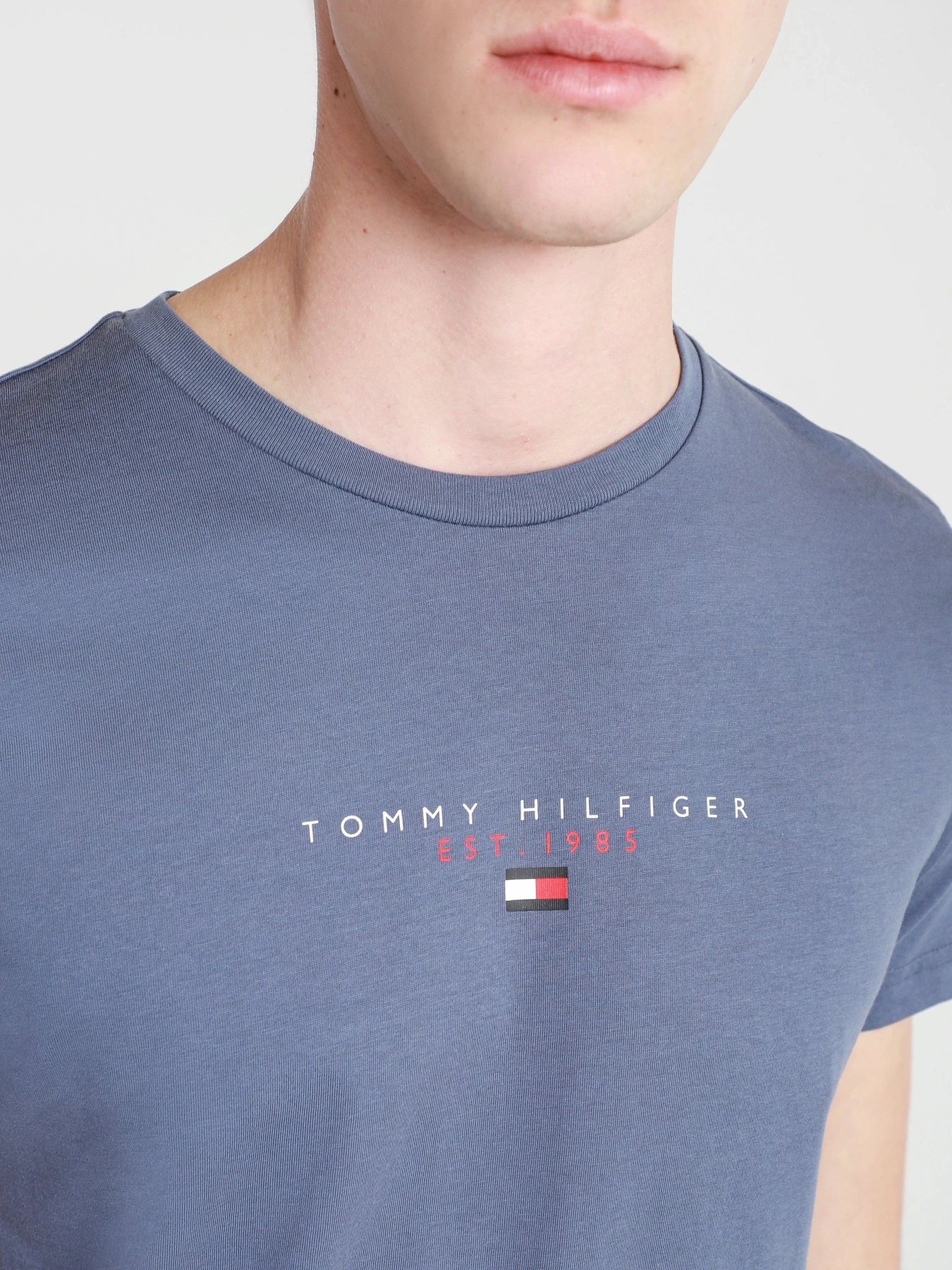Футболки и поло Tommy Hilfiger модель MW0MW17676-C9T Футболки и поло Tommy Hilfiger модель MW0MW17676-C9T Фото