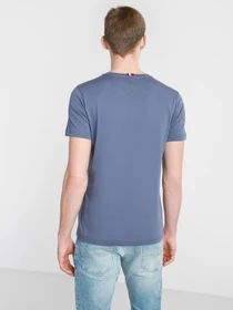 Футболки и поло Tommy Hilfiger модель MW0MW17676-C9T Фото