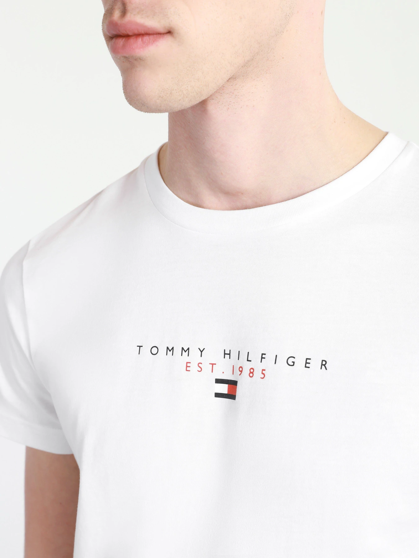 Футболки и поло Tommy Hilfiger модель MW0MW17676-YBR Футболки и поло Tommy Hilfiger модель MW0MW17676-YBR Фото