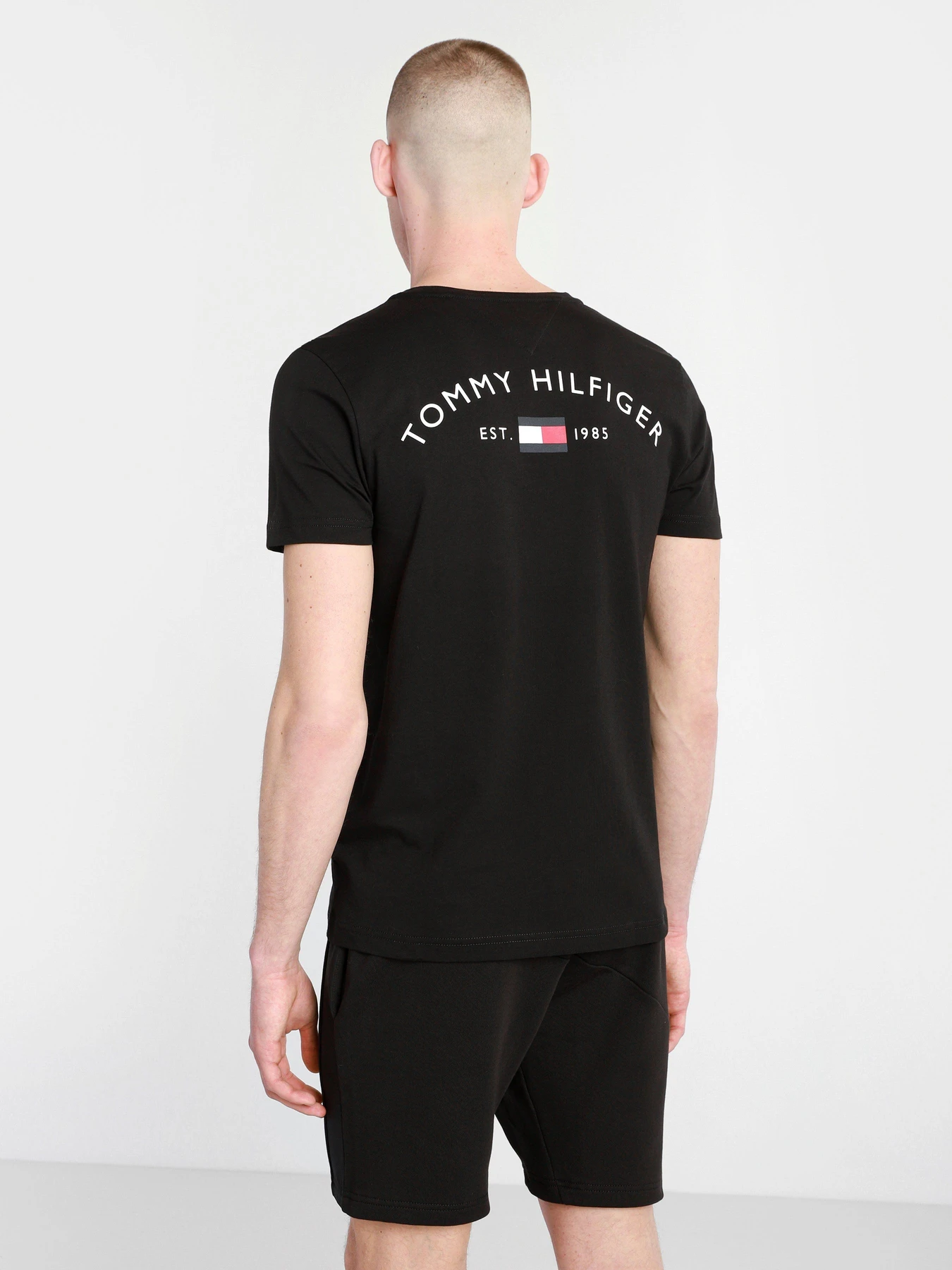 Футболки и поло Tommy Hilfiger модель MW0MW17681-BDS Футболки и поло Tommy Hilfiger модель MW0MW17681-BDS Фото