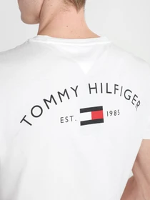 Футболки і поло Tommy Hilfiger модель MW0MW17681-YBR Фото