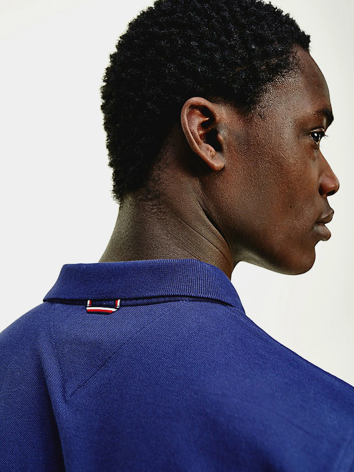 Футболки и поло Tommy Hilfiger Placket модель MW0MW17788-DY4 Фото