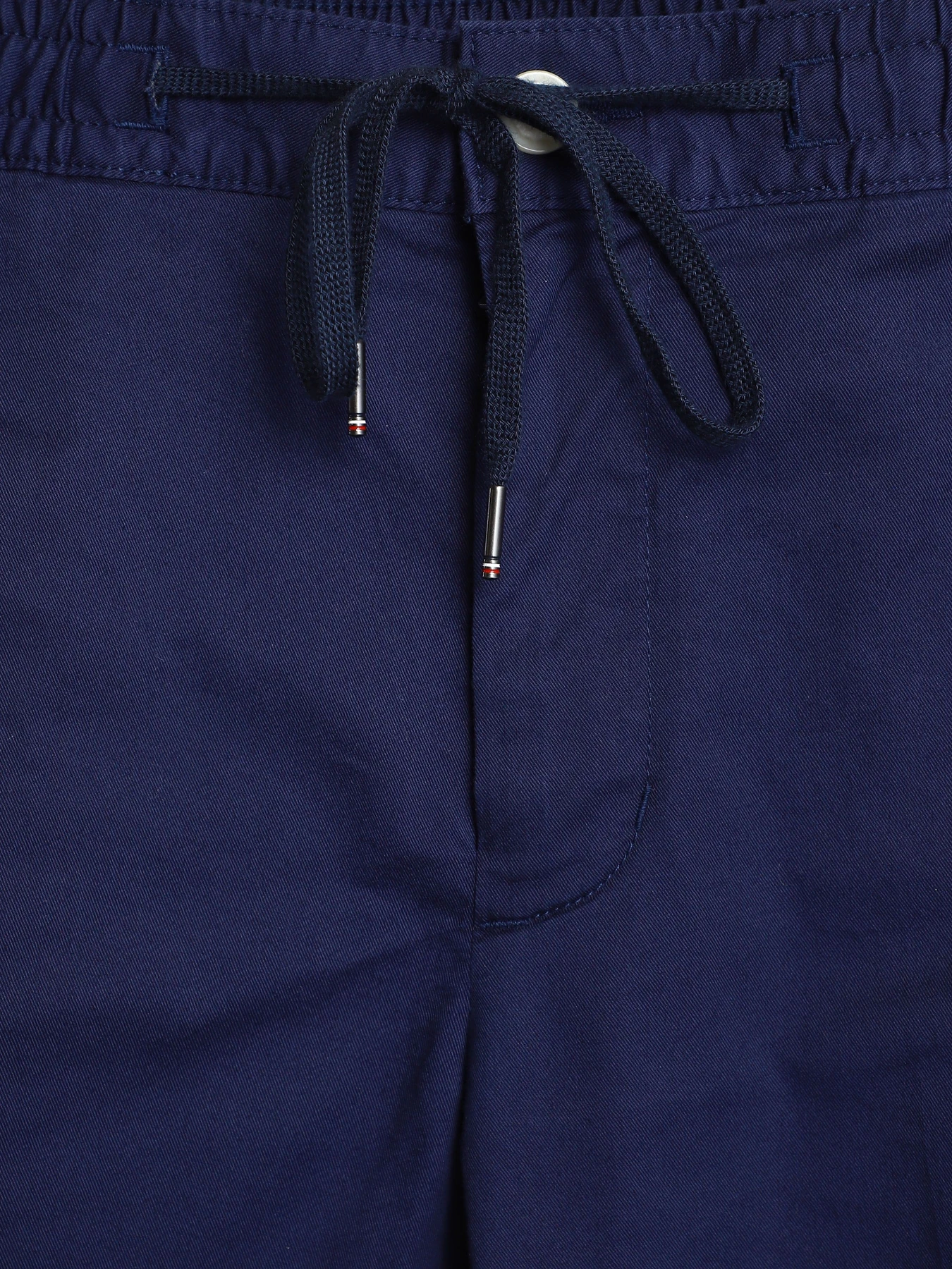 Штани Tommy Hilfiger модель MW0MW17921-DY4 Фото