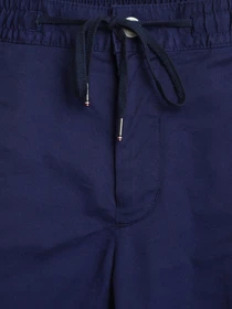 Штани Tommy Hilfiger модель MW0MW17921-DY4 Фото