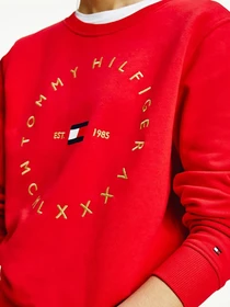 Худи и свитшоты Tommy Hilfiger модель WW0WW29435-XLG Фото
