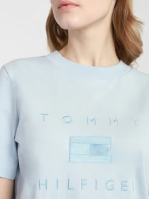 Футболки і поло Tommy Hilfiger модель WW0WW29582-C1O Фото