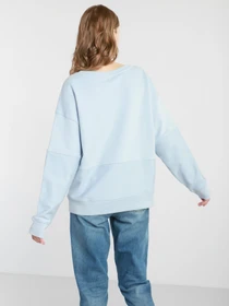 Худи и свитшоты Tommy Hilfiger модель WW0WW29844-C1O Фото