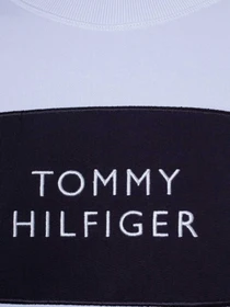 Худи и свитшоты Tommy Hilfiger модель WW0WW30391-C1O Фото