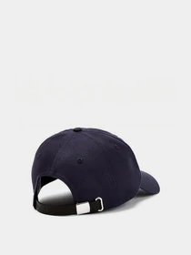 Шапки и кепки Tommy Hilfiger модель AM0AM07168-C87 Фото