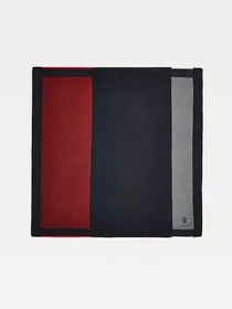 Шарфы и платки Tommy Hilfiger модель AW0AW10839-0GY Фото