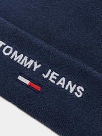 Шапки и кепки Tommy Hilfiger модель AM0AM07678-C87 Фото