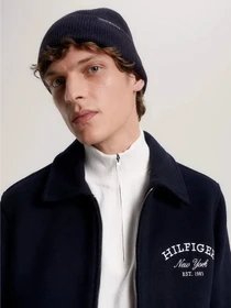 Шапки та кепки Tommy Hilfiger Uptown Wool модель AM0AM11483-DW6 Фото