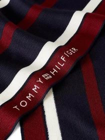 Шарфи та хустки Tommy Hilfiger Corporate Raschelle модель AM0AM11493-DW6 Фото