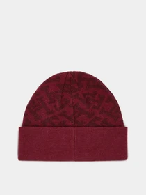 Шапки и кепки Tommy Hilfiger модель AW0AW15327-XJS Фото